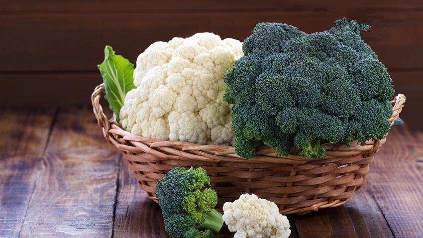 broccoli extract powder